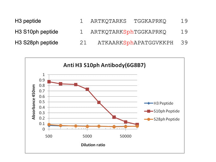 Anti-Histone H3 S10ph mAb<br/>( 6G8B7 )<br/>[ CEC-001 ]