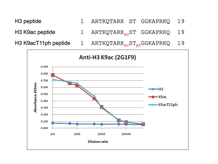 Anti-Histone H3 K9Ac mAb<br/>( 2G1F9 )<br/>[ CEC-004 ]
