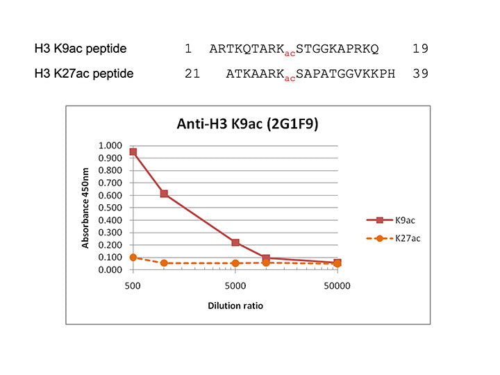 Anti-Histone H3 K9Ac mAb<br/>( 2G1F9 )<br/>[ CEC-004 ]