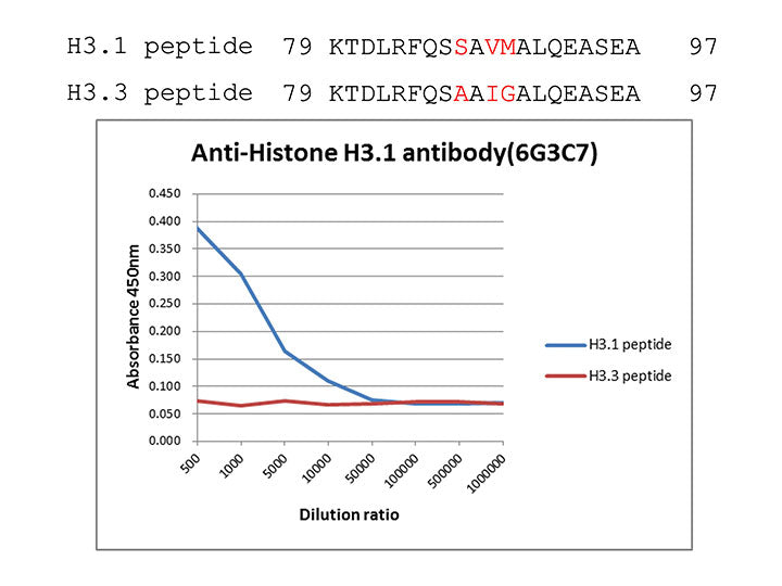 Anti-Histone H3.1/3.2 mAb<br/>[Clone No.6G3C7]<br/>( 6G3C7 )<br/>[ CEC-005 ]