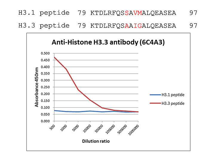 Anti-Histone H3.3 mAb<br/>[Clone No.6C4A3]<br/>( 6C4A3 )<br/>[ CEC-007 ]