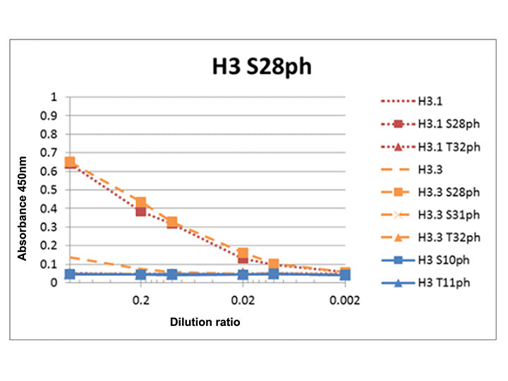 Anti-Histone H3 S28ph mAb<br/>( 5F9A9 )<br/>[ CEC-009 ]