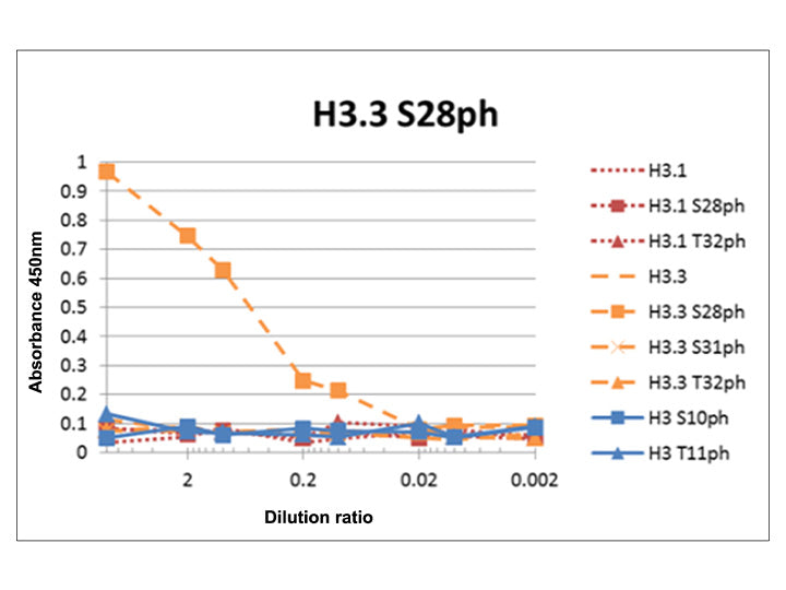 Anti-Histone H3.3 S28ph mAb<br/>( 5G12G3 )<br/>[ CEC-011 ]