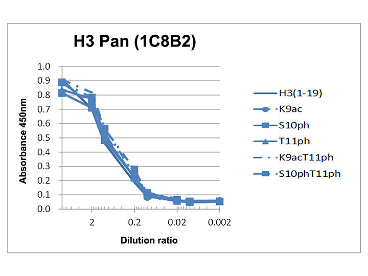 Anti-Histone H3 Pan mAb<br/>( 1C8B2 )<br/>[ CEC-013 ]