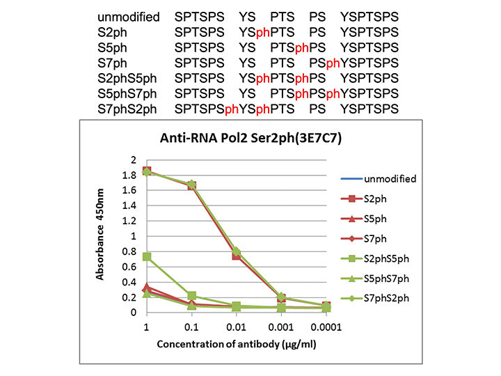 Anti-RNA polymerase 2,<br/>CTD Ser2ph mAb<br/>( 3E7C7 )<br/>[ CEC-015 ]