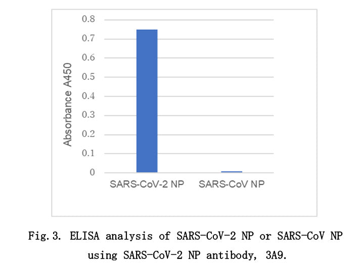Anti-SARS-CoV-2 (2019-nCoV) /<br/>COVID-19 NP mAb<br/>[Clone No.3A9]<br/>( 3A9 )<br/>[ CEC-076 ]